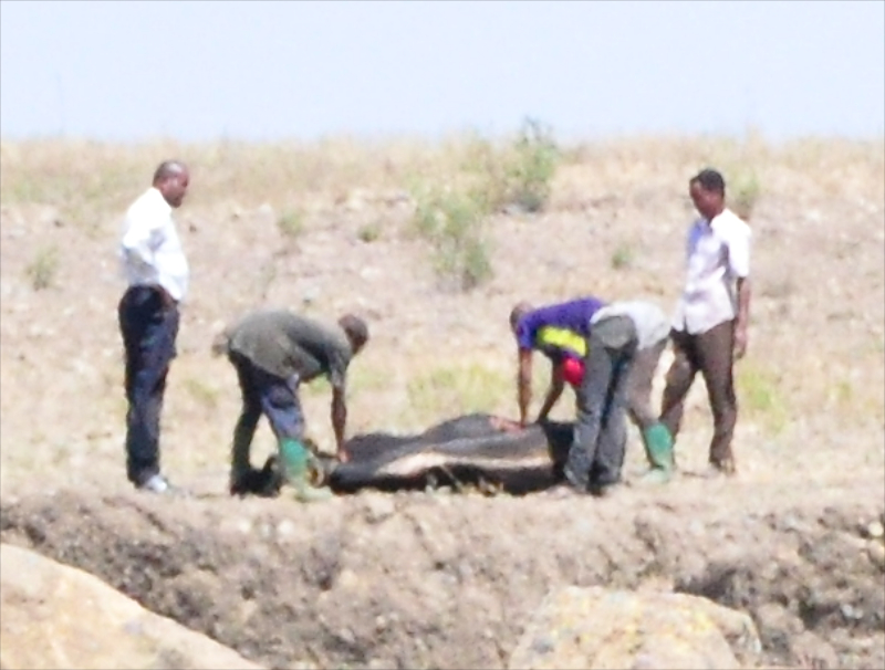 Melanie Heinrich - Travel Images - Nairobi Kenya -Arusha, Tanzania